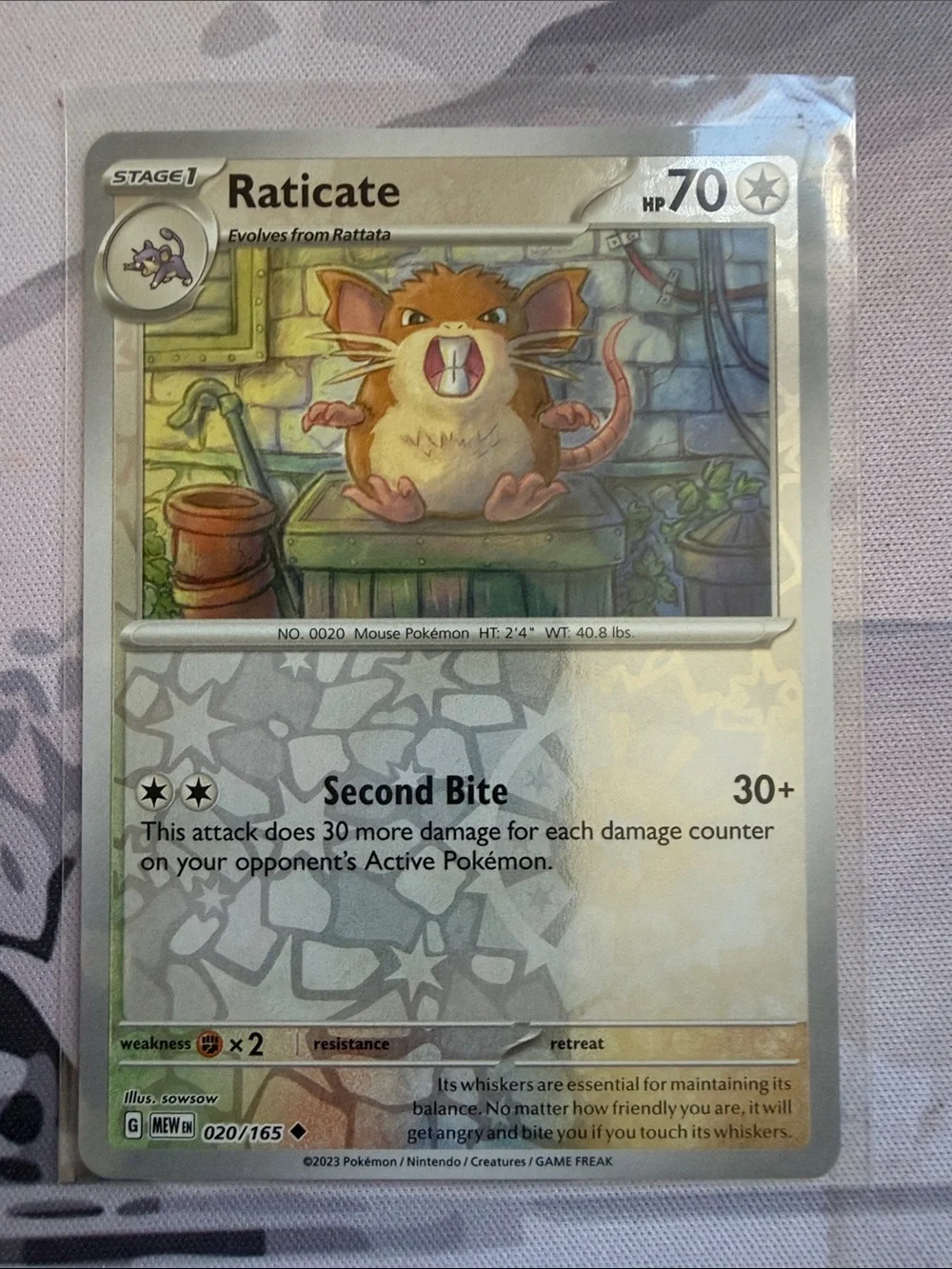 Rattata & Raticate Evolution Lot | Reverse Holo Pokémon Cards ✨5/$25✨